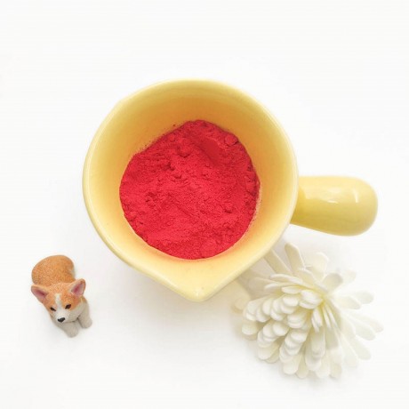 chemicals-supply-new-arrival-high-quality-cas-12270-25-6-basic-red-51-powder-with-best-price-big-0