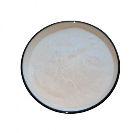 best-selling-white-powder-cas-9007-20-9-organic-intermediate-in-2022-big-0