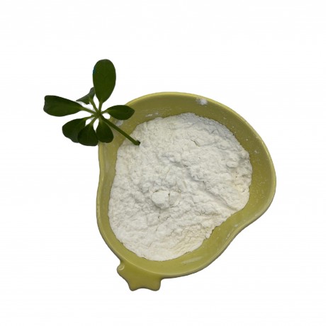 clomiphene-citrate-supplier-from-china-big-0