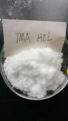 ammonium-salt-emulgator-trimethylamine-hydrochloride-98-cas-no-593-81-7-syntheses-material-fine-chemical-intermediates-big-0