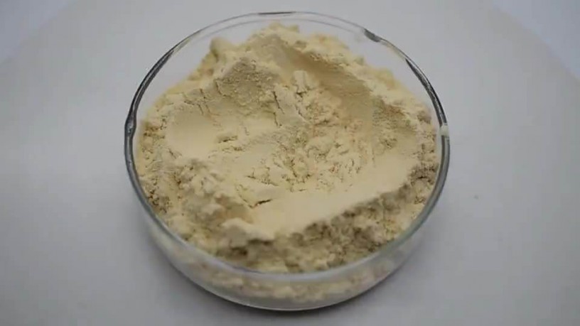 top-quality-2-iodo-1-p-tolyl-propan-1-one-pmk-powder-cas-236117-38-7-big-0