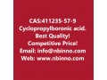 cyclopropylboronic-acid-manufacturer-cas411235-57-9-small-0