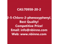 2-5-chloro-2-phenoxyphenylacetic-acid-manufacturer-cas70958-20-2-small-0