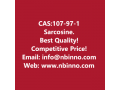 sarcosine-manufacturer-cas107-97-1-small-0