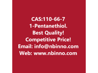1-Pentanethiol manufacturer CAS:110-66-7
