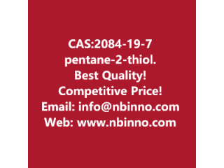 Pentane-2-thiol manufacturer CAS:2084-19-7