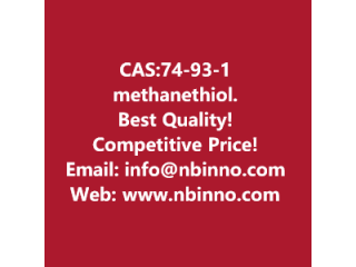 Methanethiol manufacturer CAS:74-93-1