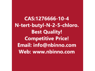  N-tert-butyl-N-[2-[(5-chloro-1,3-benzoxazol-2-yl)-(3-oxobutyl)amino]ethyl]carbamate manufacturer CAS:1276666-10-4
