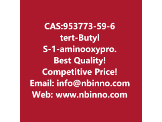 Tert-Butyl (S)-[1-(aminooxy)propan-2-yl]carbamate manufacturer CAS:953773-59-6
