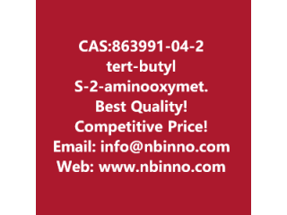 Tert-butyl (S)-2-((aminooxy)methyl)pyrrolidine-1-carboxylate manufacturer CAS:863991-04-2
