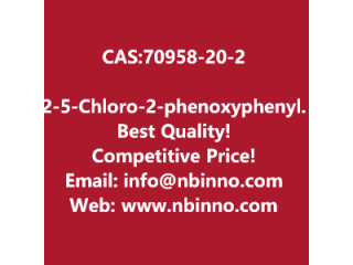 2-(5-Chloro-2-phenoxyphenyl)acetic acid manufacturer CAS:70958-20-2
