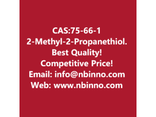 2-Methyl-2-Propanethiol manufacturer CAS:75-66-1