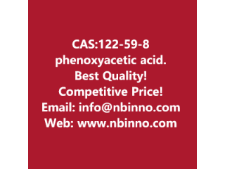 Phenoxyacetic acid manufacturer CAS:122-59-8
