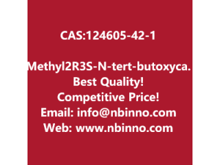 Methyl(2R,3S)-N-tert-butoxycarbonyl-3-phenylisoserinate manufacturer CAS:124605-42-1
