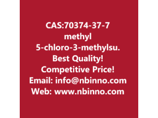 Methyl 5-chloro-3-(methylsulfamoyl)thiophene-2-carboxylate manufacturer CAS:70374-37-7