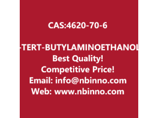 2-(TERT-BUTYLAMINO)ETHANOL manufacturer CAS:4620-70-6
