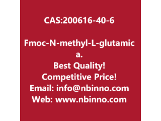 Fmoc-N-methyl-L-glutamic acid 5-tert-butyl ester manufacturer CAS:200616-40-6
