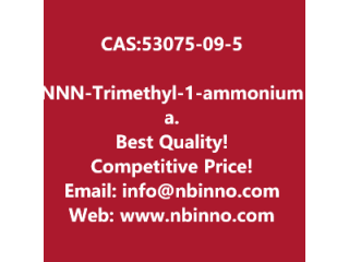 N,N,N-Trimethyl-1-ammonium adamantane manufacturer CAS:53075-09-5
