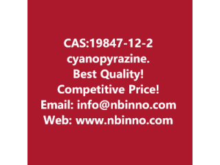 Cyanopyrazine manufacturer CAS:19847-12-2