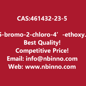 5-bromo-2-chloro-4-ethoxydiphenylmethane-manufacturer-cas461432-23-5-big-0