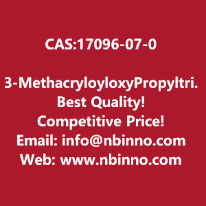 3-methacryloyloxypropyltristrimethylsiloxysilane-manufacturer-cas17096-07-0-big-0