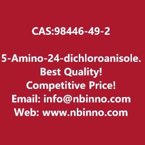 5-amino-24-dichloroanisole-manufacturer-cas98446-49-2-big-0