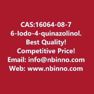 6-iodo-4-quinazolinol-manufacturer-cas16064-08-7-big-0