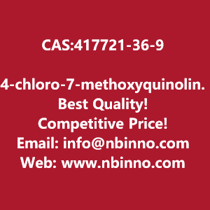 4-chloro-7-methoxyquinoline-6-carboxamide-manufacturer-cas417721-36-9-big-0