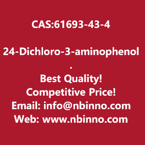 24-dichloro-3-aminophenol-hydrochloride-manufacturer-cas61693-43-4-big-0