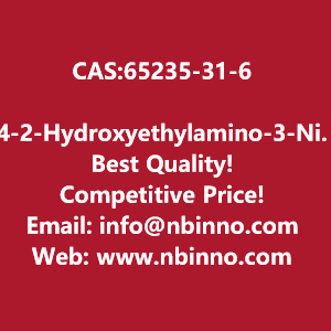 4-2-hydroxyethylamino-3-nitrophenol-manufacturer-cas65235-31-6-big-0