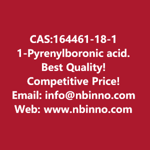 1-pyrenylboronic-acid-manufacturer-cas164461-18-1-big-0