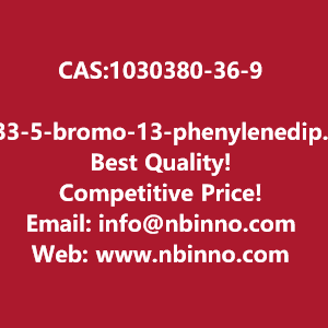 33-5-bromo-13-phenylenedipyridine-manufacturer-cas1030380-36-9-big-0