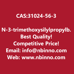 n-3-trimethoxysilylpropylbutan-1-amine-manufacturer-cas31024-56-3-big-0