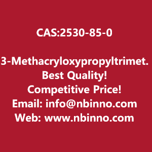 3-methacryloxypropyltrimethoxysilane-manufacturer-cas2530-85-0-big-0