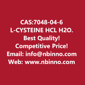 l-cysteine-hcl-h2o-manufacturer-cas7048-04-6-big-0