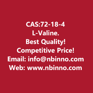 l-valine-manufacturer-cas72-18-4-big-0