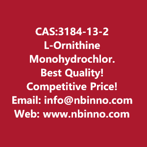 l-ornithine-monohydrochloride-manufacturer-cas3184-13-2-big-0