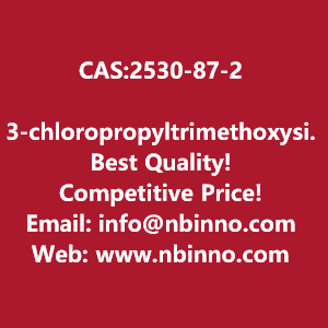 3-chloropropyltrimethoxysilane-manufacturer-cas2530-87-2-big-0