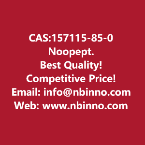 noopept-manufacturer-cas157115-85-0-big-0