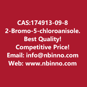 2-bromo-5-chloroanisole-manufacturer-cas174913-09-8-big-0
