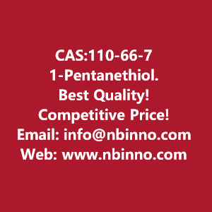 1-pentanethiol-manufacturer-cas110-66-7-big-0