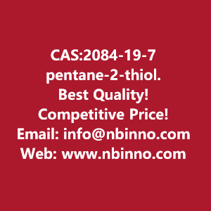 pentane-2-thiol-manufacturer-cas2084-19-7-big-0
