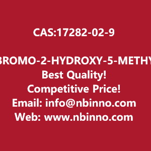 3-bromo-2-hydroxy-5-methylpyridine-manufacturer-cas17282-02-9-big-0