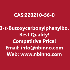 3-t-butoxycarbonylphenylboronic-acid-manufacturer-cas220210-56-0-big-0