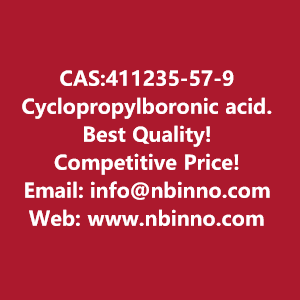 cyclopropylboronic-acid-manufacturer-cas411235-57-9-big-0