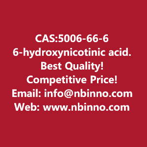 6-hydroxynicotinic-acid-manufacturer-cas5006-66-6-big-0