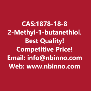 2-methyl-1-butanethiol-manufacturer-cas1878-18-8-big-0