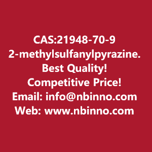 2-methylsulfanylpyrazine-manufacturer-cas21948-70-9-big-0