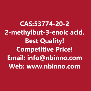 2-methylbut-3-enoic-acid-manufacturer-cas53774-20-2-big-0