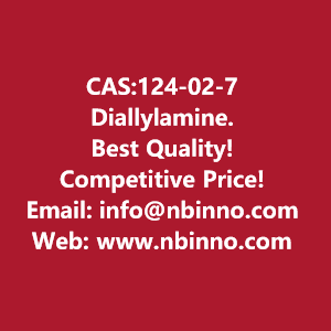 diallylamine-manufacturer-cas124-02-7-big-0